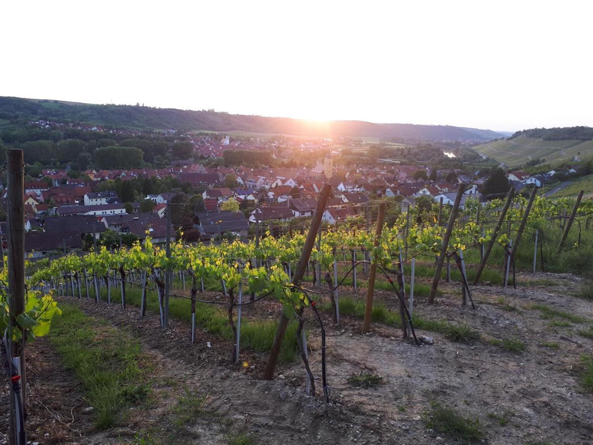 Hotel & Restaurant Sonnenhoefle Sommerhausen Eksteriør bilde